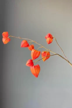 Outlet Pip Studio Pip Kunstliche Blumen Fall Beauty