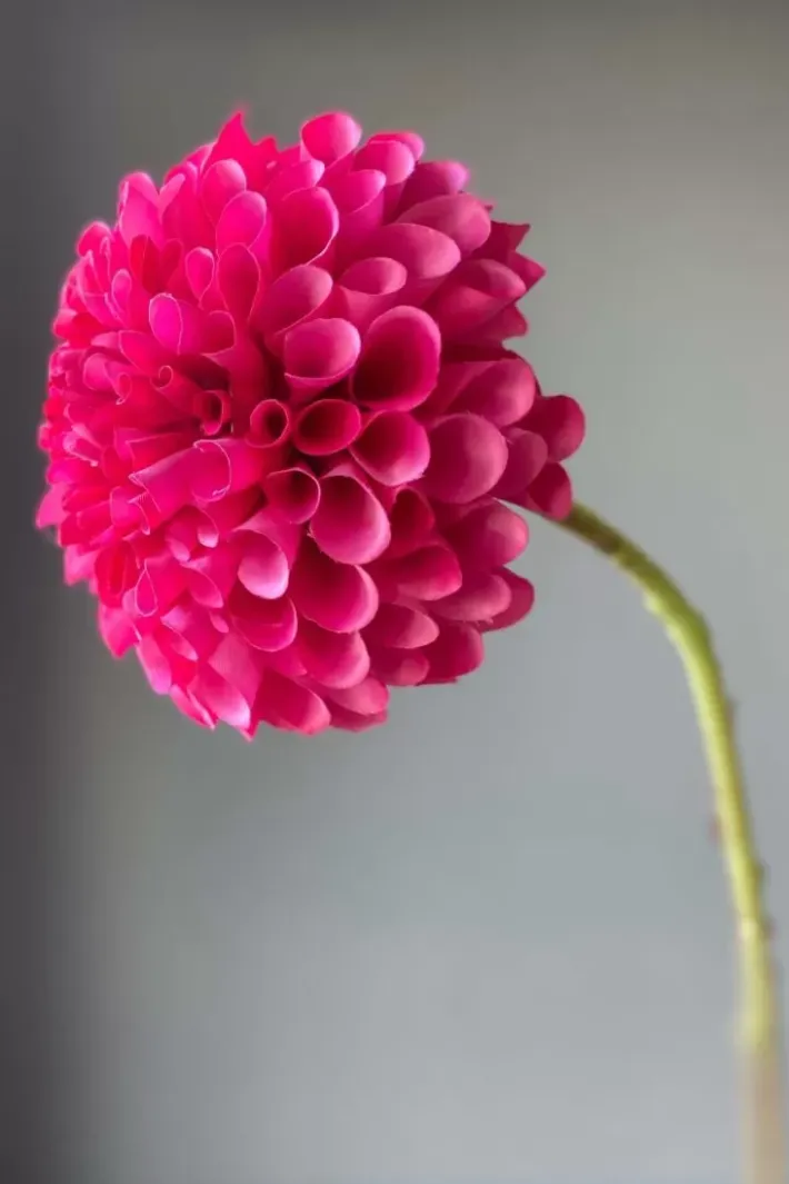 Outlet Pip Studio Pip Kunstliche Blumen Sweet Symphony