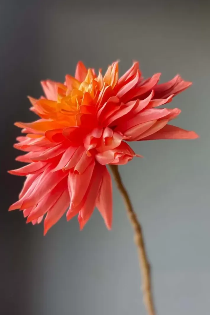 Outlet Pip Studio Pip Kunstliche Blumen Sweet Symphony