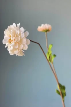 Online Pip Studio Pip Kunstliche Blumen Vanilla Bloom