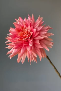 Online Pip Studio Pip Kunstliche Blumen Vanilla Bloom