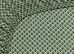 Discount Pip Studio Spannbettlaken Suki Oliv Grun